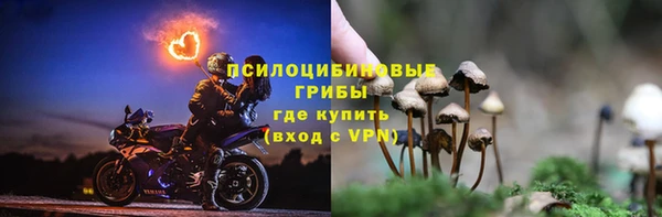 гидропоника Алексеевка