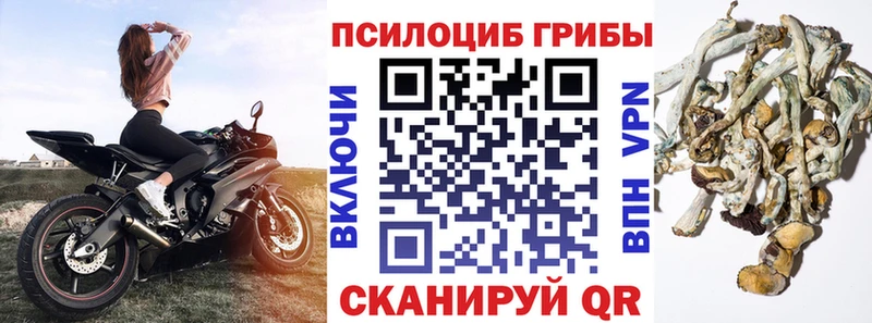 Галлюциногенные грибы прущие грибы  Салехард 